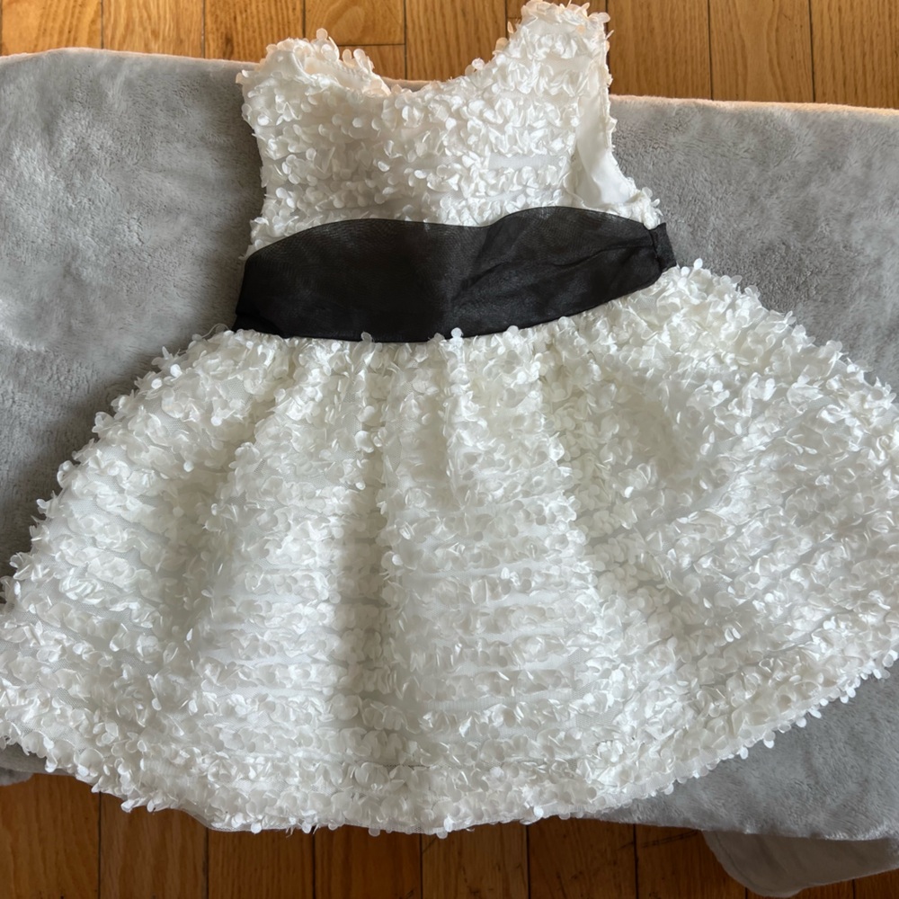 3-6 month Rare Editions Ivory Floral Dress with Black Accent
